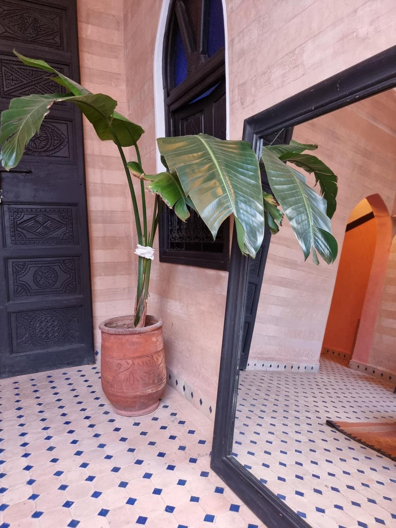 Riad Black Doors Marrakesh Eksteriør bilde